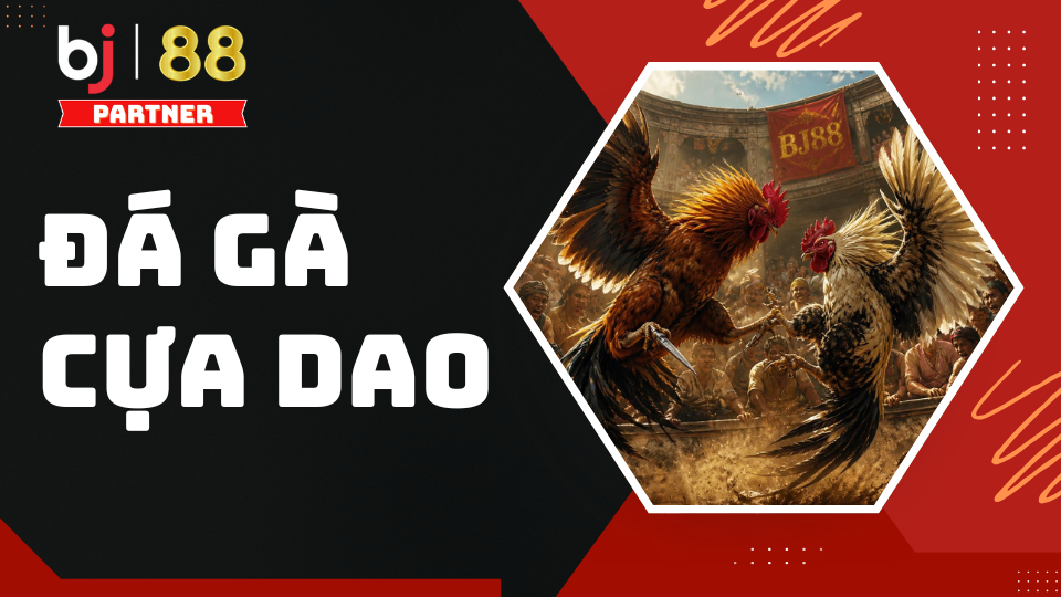 Đ&aacute; g&agrave; cựa dao BJ88 - Cập nhật luật chơi v&agrave; mẹo cược