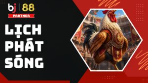 Lịch phát sóng -Trực tiếp đá gà BJ88